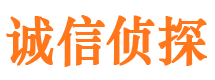 乐至外遇调查取证